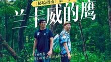 救援淘气的小狗